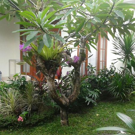 Jepun Bali Homestay Sanur Экстерьер фото