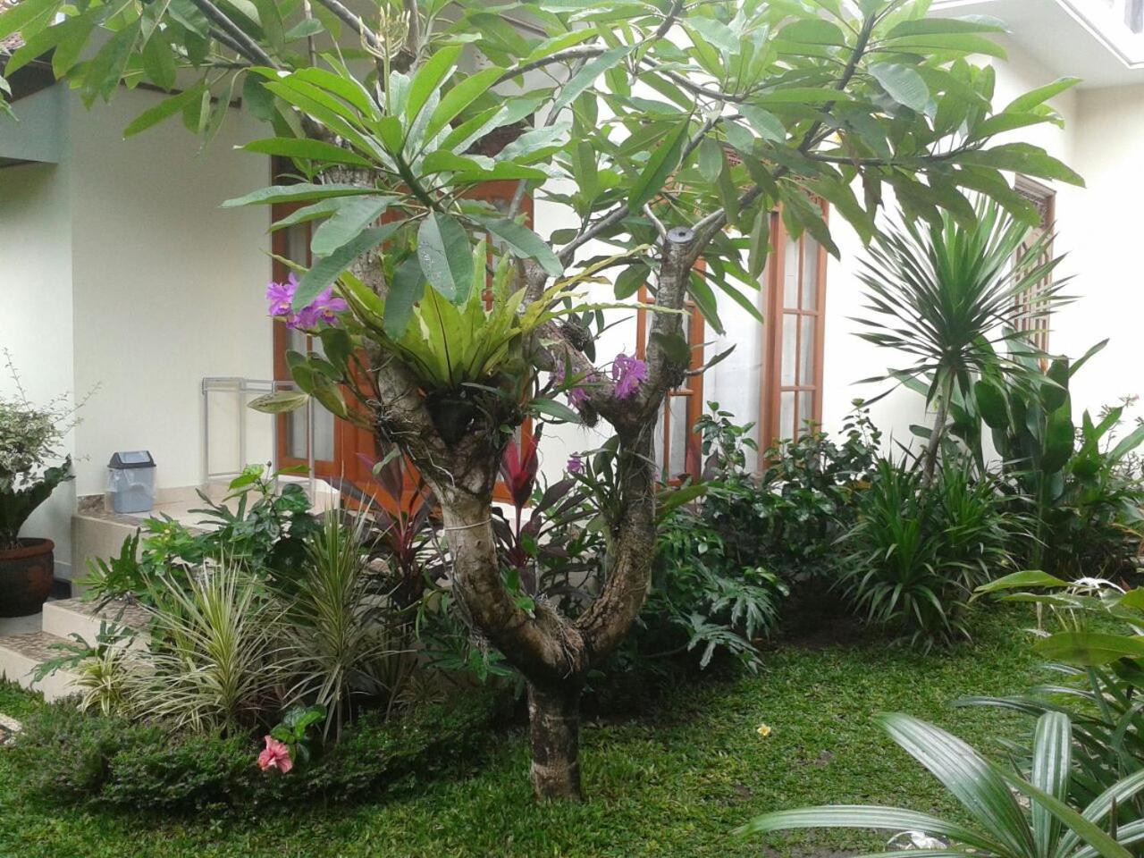 Jepun Bali Homestay Sanur Экстерьер фото
